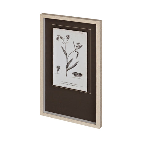 Conversations on Botany I by Mercana Studio Hand Embellished Framed Art Print Matted under Glass by Mercana at Eve Furniture