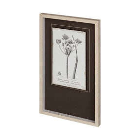 Conversations on Botany II by Mercana Studio Hand Embellished Framed Art Print Matted under Glass by Mercana at Eve Furniture