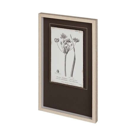 Conversations on Botany II by Mercana Studio Hand Embellished Framed Art Print Matted under Glass by Mercana at Eve Furniture