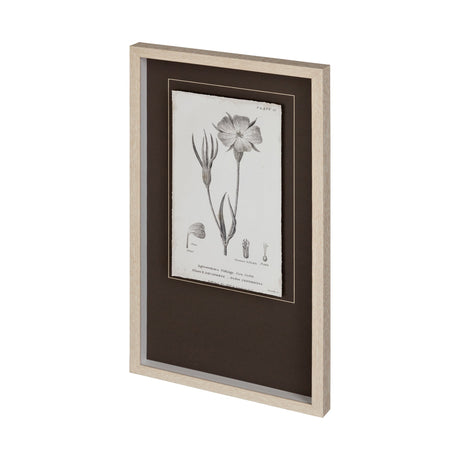 Conversations on Botany III by Mercana Studio Hand Embellished Framed Art Print Matted under Glass by Mercana at Eve Furniture