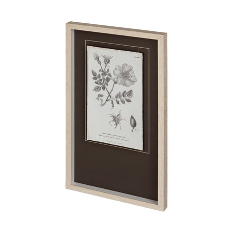 Conversations on Botany IV by Mercana Studio Hand Embellished Framed Art Print Matted under Glass by Mercana at Eve Furniture
