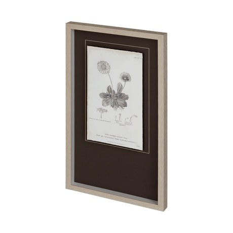 Conversations on Botany IX by Mercana Studio Hand Embellished Framed Art Print Matted under Glass by Mercana at Eve Furniture