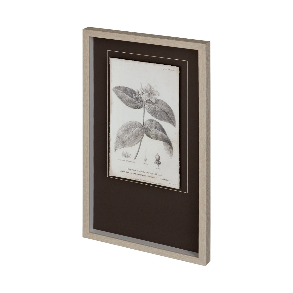 Conversations on Botany VIII by Mercana Studio Hand Embellished Framed Art Print Matted under Glass by Mercana at Eve Furniture