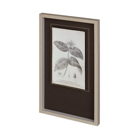Conversations on Botany VIII by Mercana Studio Hand Embellished Framed Art Print Matted under Glass by Mercana at Eve Furniture