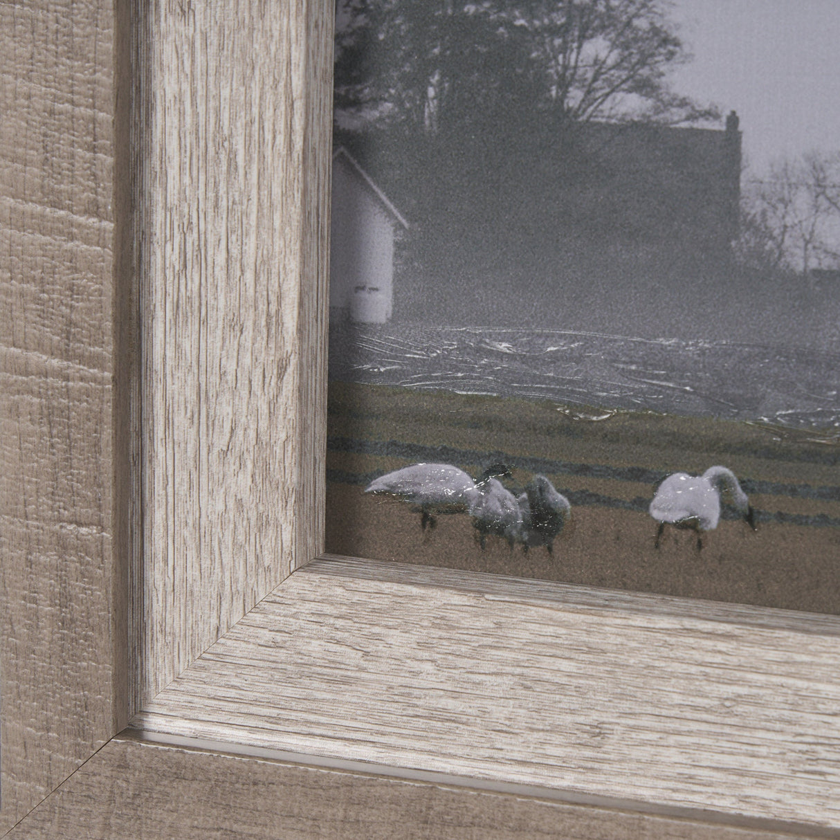Cool Change by Nancy Crowell a Hand Embellished Framed Photo Art Print Matted under Glass by Mercana at Eve Furniture