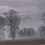Cool Change by Nancy Crowell a Hand Embellished Framed Photo Art Print Matted under Glass by Mercana at Eve Furniture