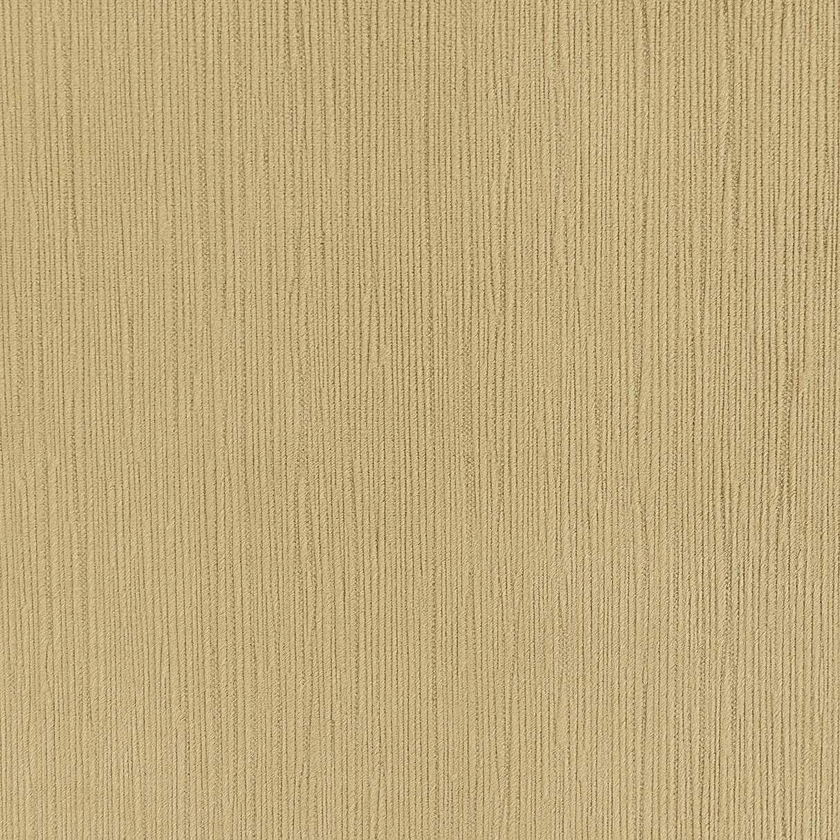 Corliss Camel Velvet Curved Track Arm Loveseat by Coaster at Eve Furniture