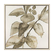 Cornus Alba I by Mercana Studio Hand-Embellished Textured Framed Canvas Artwork by Mercana at Eve Furniture
