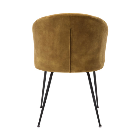 Cosimo Mustard Side Chair, Set of 2 by Homelegance at Eve Furniture