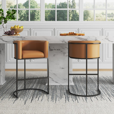 Cosmopolitan Barstool in Camel and Black by Manhattan Comfort at Eve Furniture