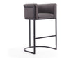Cosmopolitan Barstool in Pebble and Black by Manhattan Comfort at Eve Furniture