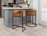 Cosmopolitan Counter Stool in Camel and Black (set of 2) by Manhattan Comfort at Eve Furniture