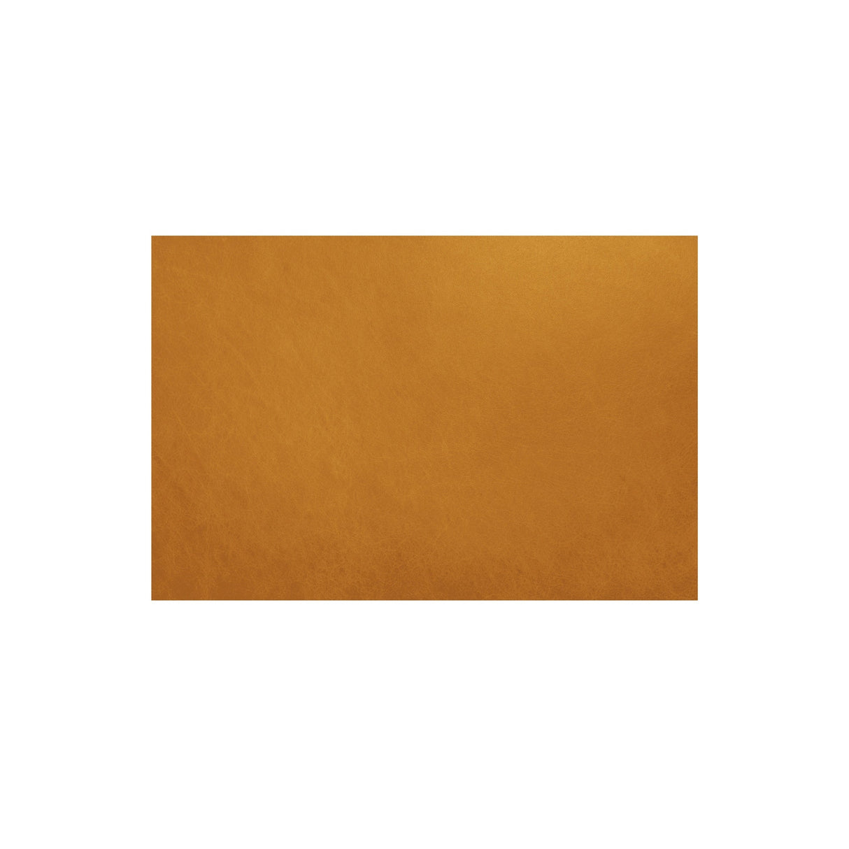 Costello Tan Ottoman by Moe's Home at Eve Furniture