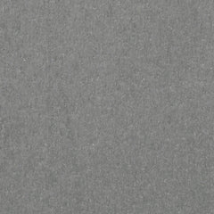 Cove Beach Gray Lounge Chair w/Cushion, Set of 2 by Ashley at Eve Furniture