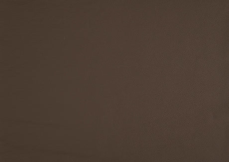 Crafton Brown Leather Accent Chair by Homelegance at Eve Furniture