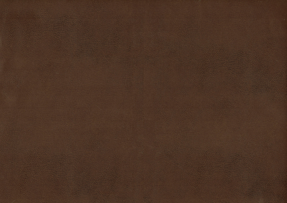 Crafton Dark Brown Leather Accent Chair by Homelegance at Eve Furniture
