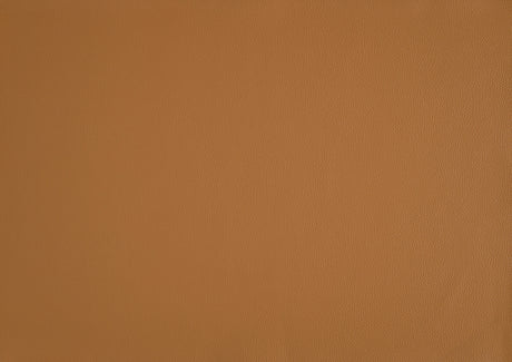 Crafton Orange Leather Accent Chair by Homelegance at Eve Furniture