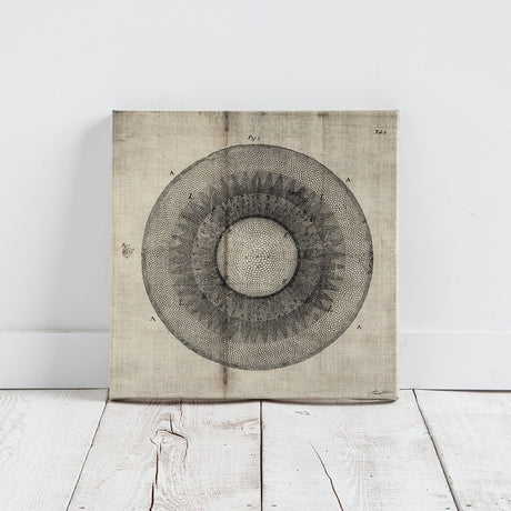 Cross Cut II (MC) by Mercana Studio a Hand Embellished Textured Canvas by Mercana at Eve Furniture