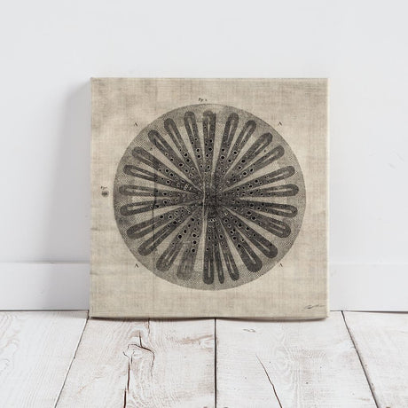 Cross Cut III (MC) by Mercana Studio a Hand Embellished Textured Canvas by Mercana at Eve Furniture