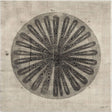 Cross Cut III (MC) by Mercana Studio a Hand Embellished Textured Canvas by Mercana at Eve Furniture