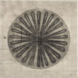 Cross Cut III (MC) by Mercana Studio a Hand Embellished Textured Canvas by Mercana at Eve Furniture