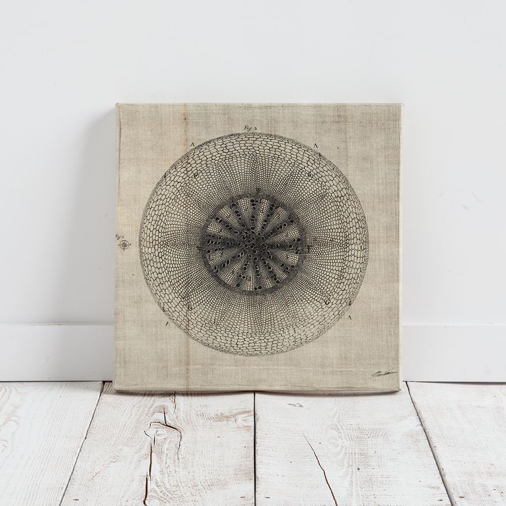 Cross Cut IV (MC) by Mercana Studio a Hand Embellished Textured Canvas by Mercana at Eve Furniture