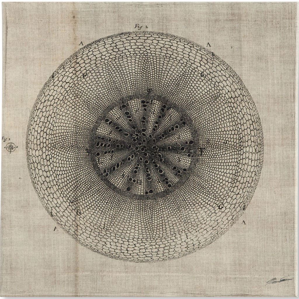Cross Cut IV (MC) by Mercana Studio a Hand Embellished Textured Canvas by Mercana at Eve Furniture