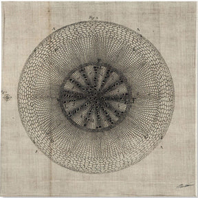 Cross Cut IV (MC) by Mercana Studio a Hand Embellished Textured Canvas by Mercana at Eve Furniture