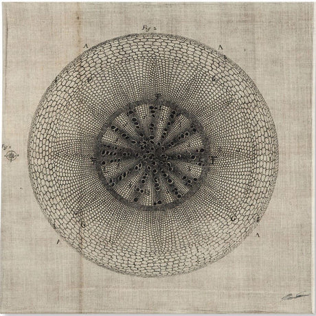 Cross Cut IV (MC) by Mercana Studio a Hand Embellished Textured Canvas by Mercana at Eve Furniture