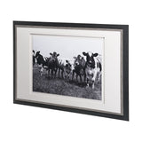 Curiosity by The Vintage Collection a Hand Embellished Textured Framed Art Photo Matted under Glass by Mercana at Eve Furniture
