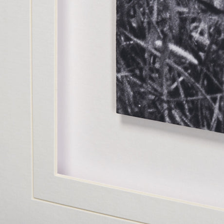 Curiosity by The Vintage Collection a Hand Embellished Textured Framed Art Photo Matted under Glass by Mercana at Eve Furniture