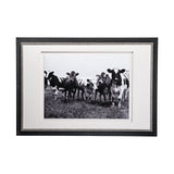 Curiosity by The Vintage Collection a Hand Embellished Textured Framed Art Photo Matted under Glass by Mercana at Eve Furniture