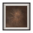 Curious by Stig Kalvelid a Hand Embellished Framed Photo Art Print Matted under Glass by Mercana at Eve Furniture