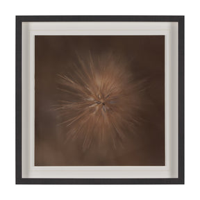 Curious by Stig Kalvelid a Hand Embellished Framed Photo Art Print Matted under Glass by Mercana at Eve Furniture