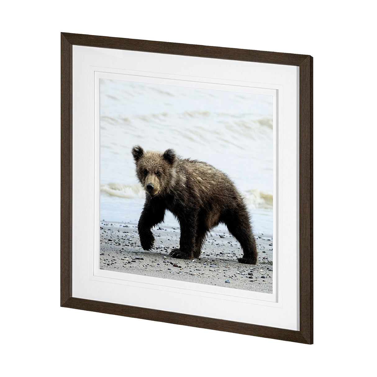 Curious Cub by Wink Gaines a Hand Embellished Textured Framed Art Photograph Matted under Glass by Mercana at Eve Furniture