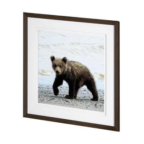 Curious Cub by Wink Gaines a Hand Embellished Textured Framed Art Photograph Matted under Glass by Mercana at Eve Furniture