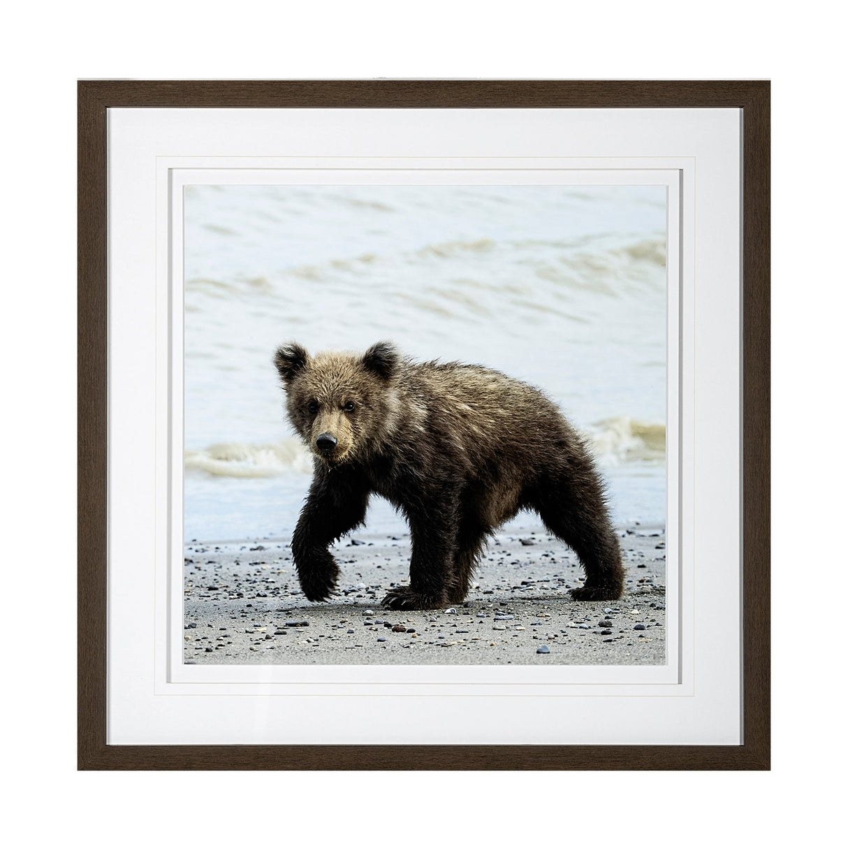 Curious Cub by Wink Gaines a Hand Embellished Textured Framed Art Photograph Matted under Glass by Mercana at Eve Furniture