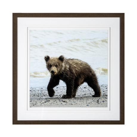 Curious Cub by Wink Gaines a Hand Embellished Textured Framed Art Photograph Matted under Glass by Mercana at Eve Furniture