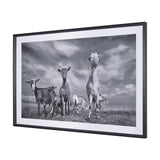 Curious Farm Goats by Novica Stankovic Hand-Embellished Textured Framed Artwork Matted under Glass by Mercana at Eve Furniture