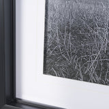 Curious Farm Goats by Novica Stankovic Hand-Embellished Textured Framed Artwork Matted under Glass by Mercana at Eve Furniture