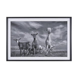 Curious Farm Goats by Novica Stankovic Hand-Embellished Textured Framed Artwork Matted under Glass by Mercana at Eve Furniture