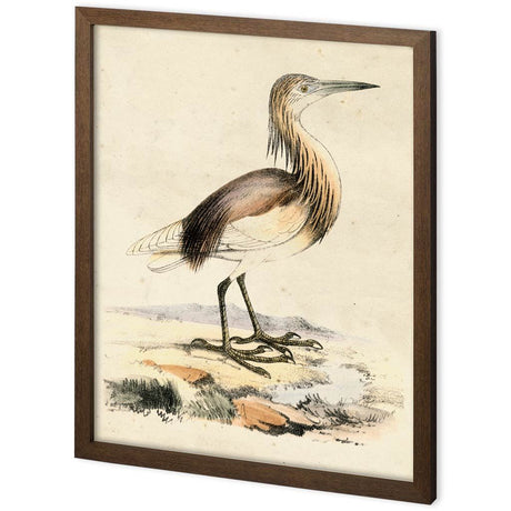 Custom Antique Heron I by Ferdos Maleki a Hand Embellished Textured Framed Decograph Art Print by Mercana at Eve Furniture