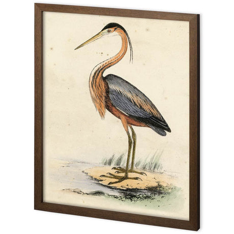 Custom Antique Heron II by Ferdos Maleki a Hand Embellished Textured Framed Decograph Art Print by Mercana at Eve Furniture