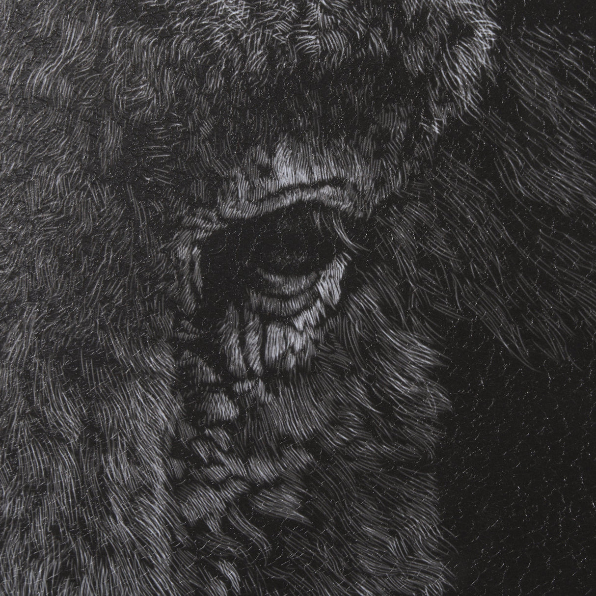 Custom Black Glimpse I by Mercana Studio Hand Embellished Framed Photo Art Print Matted under Glass by Mercana at Eve Furniture