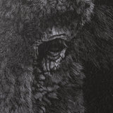 Custom Black Glimpse I by Mercana Studio Hand Embellished Framed Photo Art Print Matted under Glass by Mercana at Eve Furniture