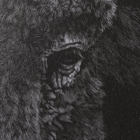 Custom Black Glimpse I by Mercana Studio Hand Embellished Framed Photo Art Print Matted under Glass by Mercana at Eve Furniture