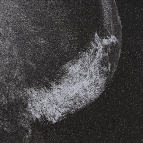Custom Black Glimpse I by Mercana Studio Hand Embellished Framed Photo Art Print Matted under Glass by Mercana at Eve Furniture