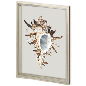 Custom Black Murex by Maleki, Ferdos a Framed Art Print Matted under Glass by Mercana at Eve Furniture