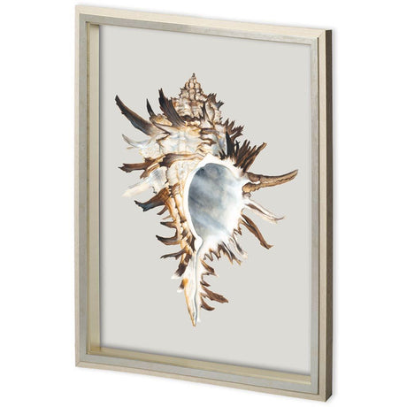 Custom Black Murex by Maleki, Ferdos a Framed Art Print Matted under Glass by Mercana at Eve Furniture