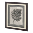 Custom Blossfeldt Botanical III Karl Blossfeldt Hand Embellished Framed Art Print Matted under Glass by Mercana at Eve Furniture